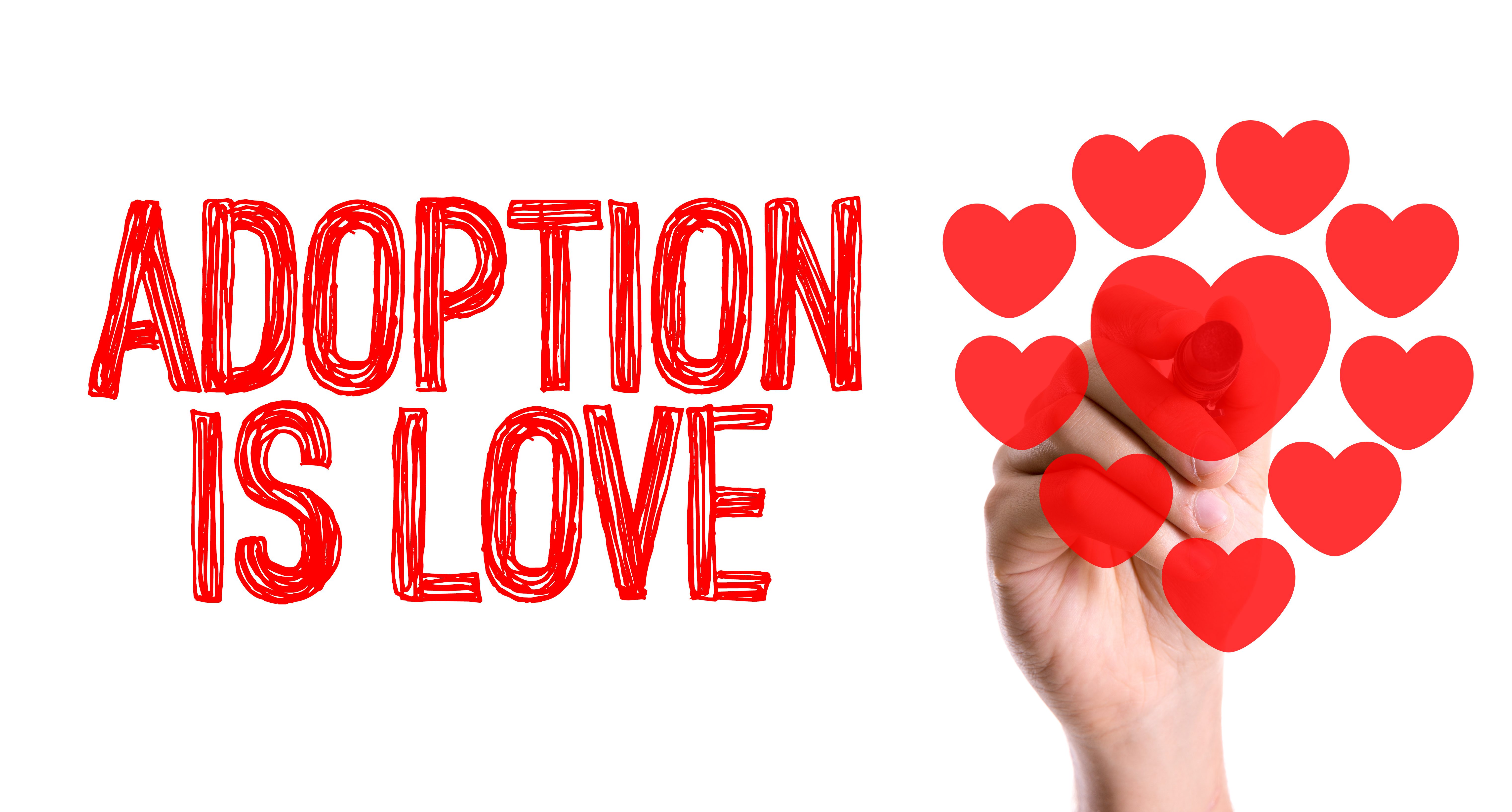 adoption is love 